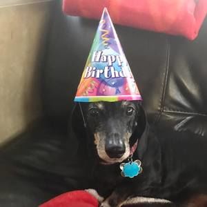 Meet your Posher, Ilene